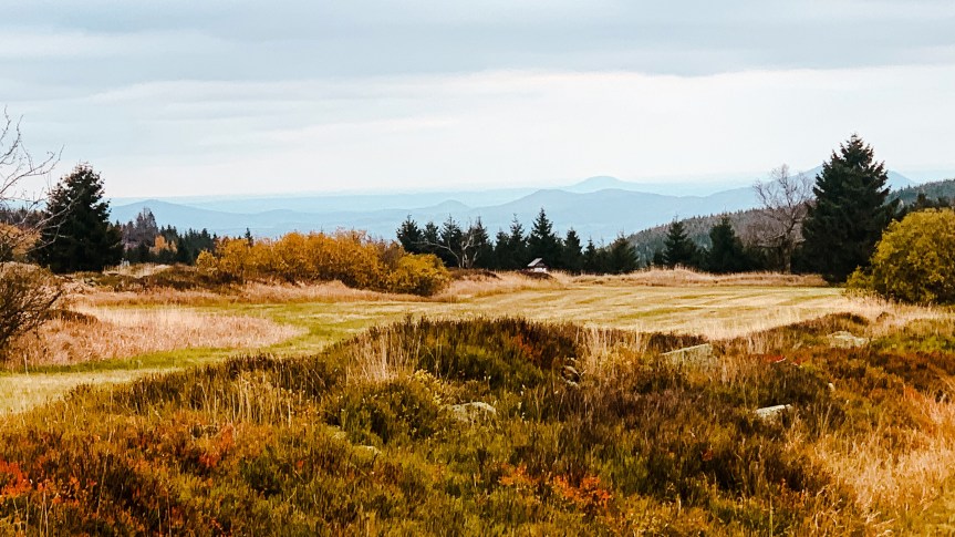 Botanischer Garten Schellerhau – Georgenfelder Hochmoor – ein Tagesausflug ins&nbsp;Osterzgebirge