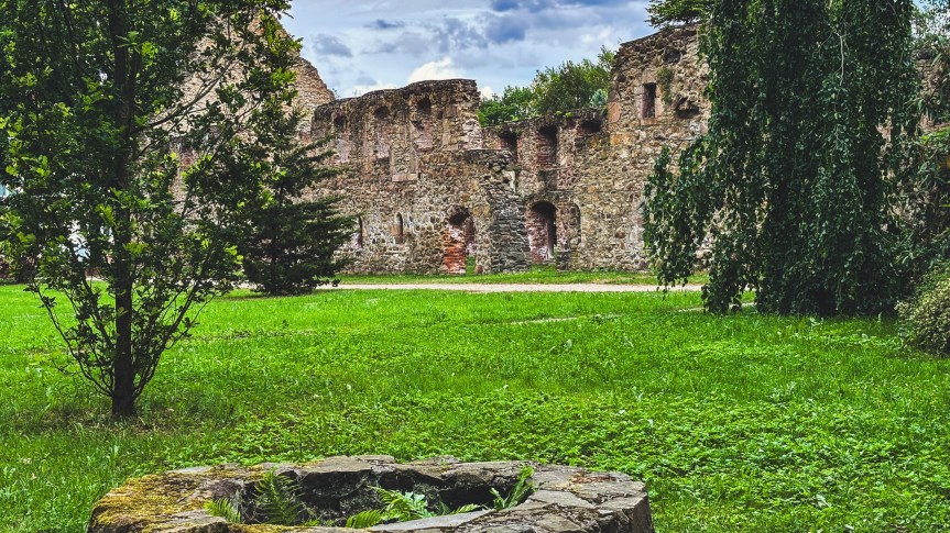 Klosterruine Nimbschen • Klöster in&nbsp;Sachsen